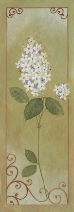 Framed Jasmine II Print