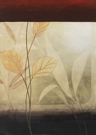 Framed Leaf Collage II Print