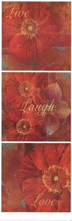 Framed Poppy Thoughts Print