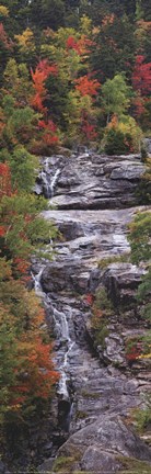 Framed Falling Waters Panel Print