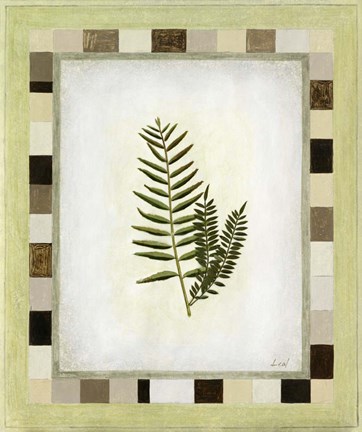 Framed Fern I Print