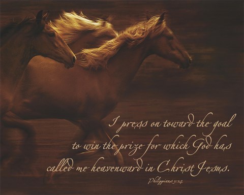 Framed Tribe (detail) Print