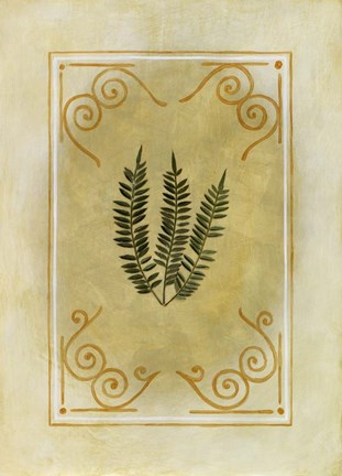 Framed Fern Delight I Print