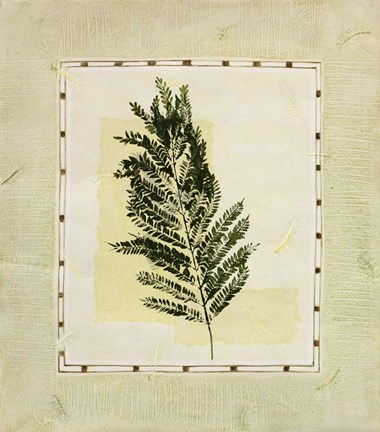 Framed Green Splendor II Print