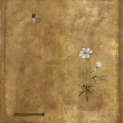 Framed Delicate Print