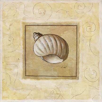 Framed Bonnet Shell Print