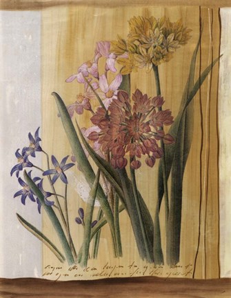 Framed Floral Postcard I Print