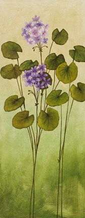 Framed Wild Flowers II Print