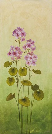 Framed Wild Flowers III Print