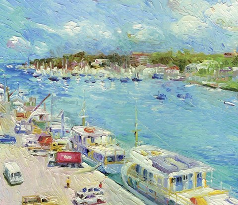 Framed Bahamas Print