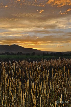 Framed Sunset Over Bear Tooth Print