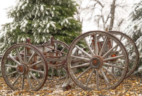 Framed Wagon in Winter Print