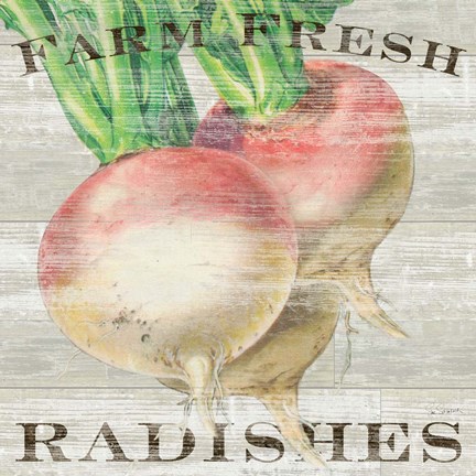 Framed Farm Fresh Radishes Print