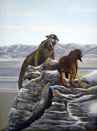 Framed Cougar and Tink Print