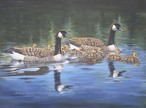 Framed Spring Training Print