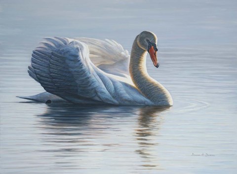 Framed In To The Light Print