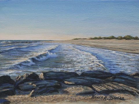 Framed Sun Soaked Print