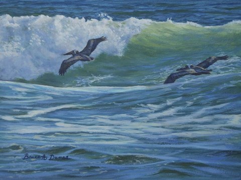 Framed Pelican Skimmers Print