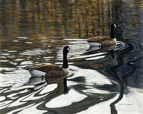 Framed Leaving The Shore Print