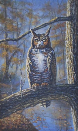 Framed Great Horned Owl Print
