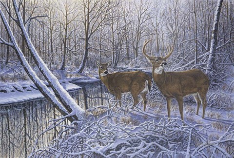 Framed On Alert Print