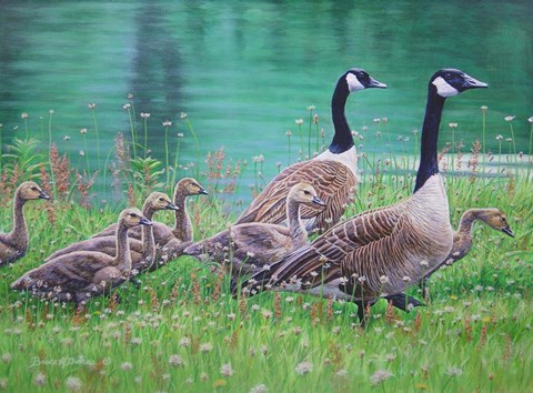 Framed Goose Family Outing Print
