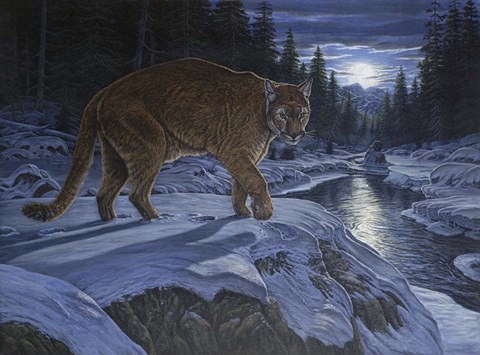 Framed Night Stalker Print