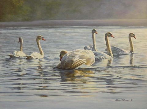 Framed Hanover Swans Six Print