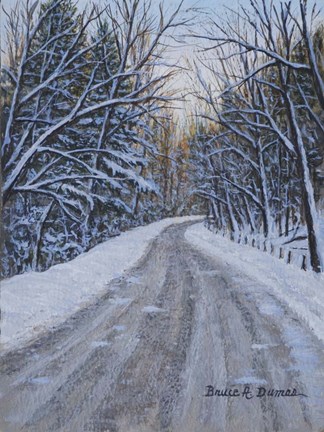 Framed Winter Woods Print