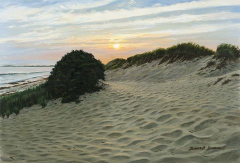 Framed Dune Walk Print