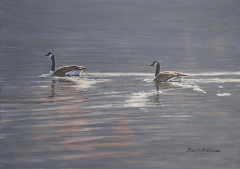 Framed Refracted Light Print