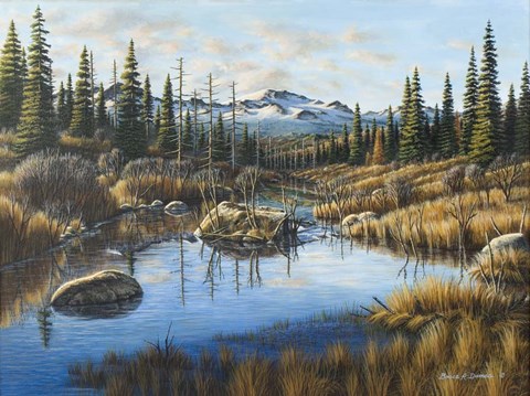 Framed Mountain Vista Print