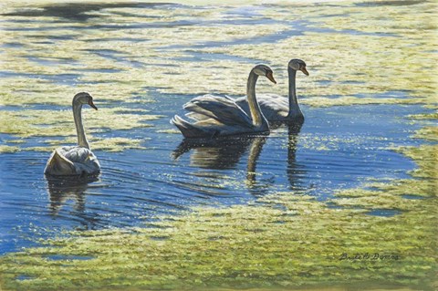 Framed Three&#39;s Company Print