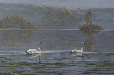 Framed Misty Morning Print