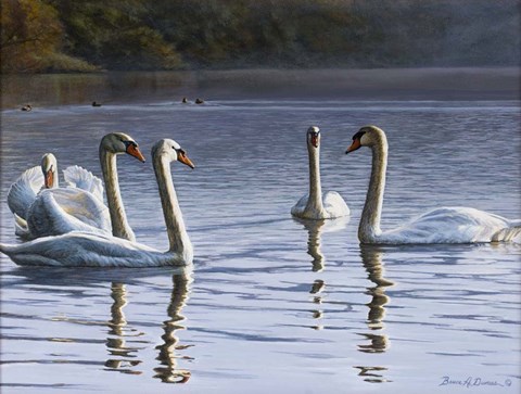 Framed Hanover Swans Five Print