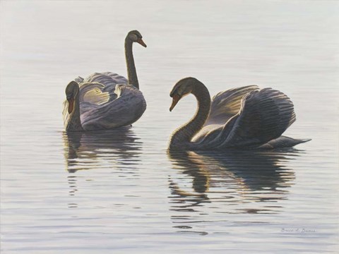 Framed Beauty And Grace Print