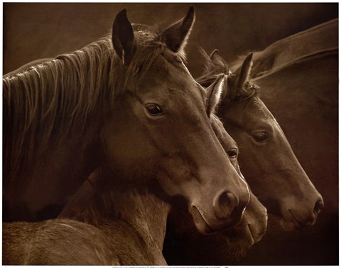 Framed Tenderness Print