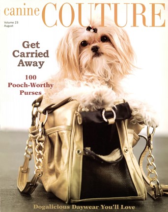 Framed Couture - Get Carried Away Print