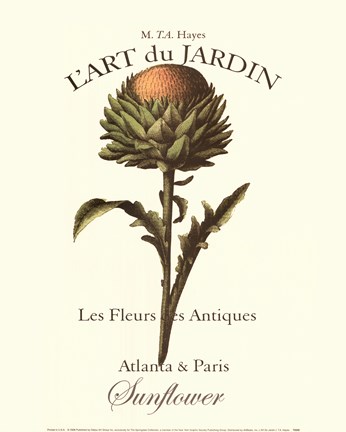 Framed L'art Due Jardin I Print