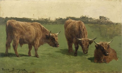 Framed Three Studies of Reddish-Haired Cows on a Meadow Print