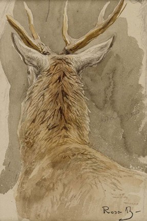 Framed Study of a Deer Print