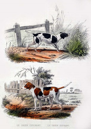 Framed Pair of Dogs I Print