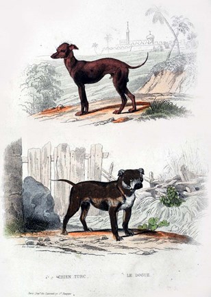 Framed Pair of Dogs II Print