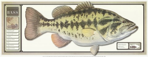Framed World Record Largemouth Bass Print