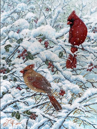 Framed Winter Cardinal Painting Print