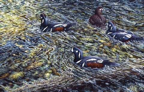 Framed Harlequin Romance Print