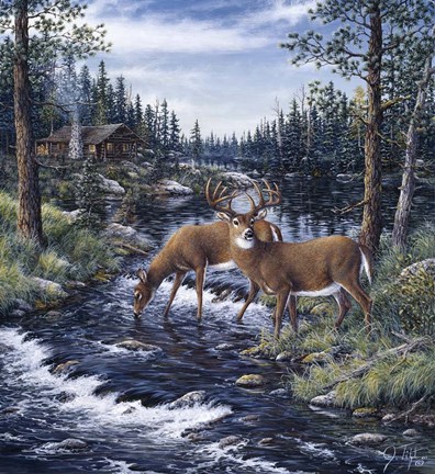 Framed Peaceful Morning Print