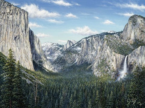 Framed Yosemite Valley Print