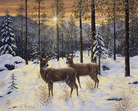 Framed Evening Silence Print