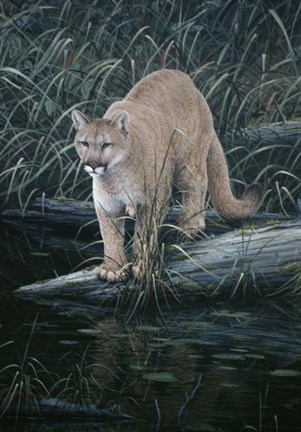 Framed Sudden Intent Print